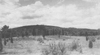 thumbnail of your picture #1